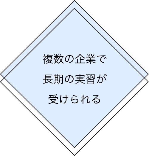 複数の企業で長期の実習が受けられる