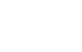 100%