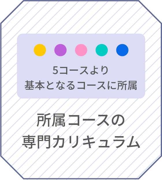 所属コースの専門カリキュラム