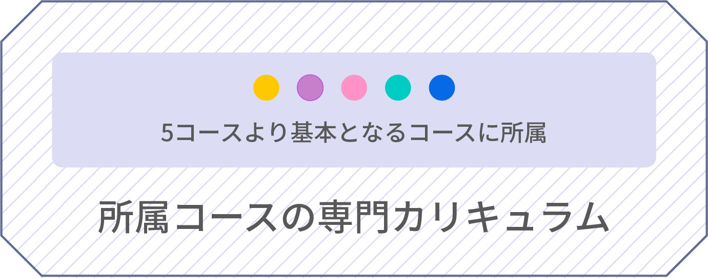 所属コースの専門カリキュラム