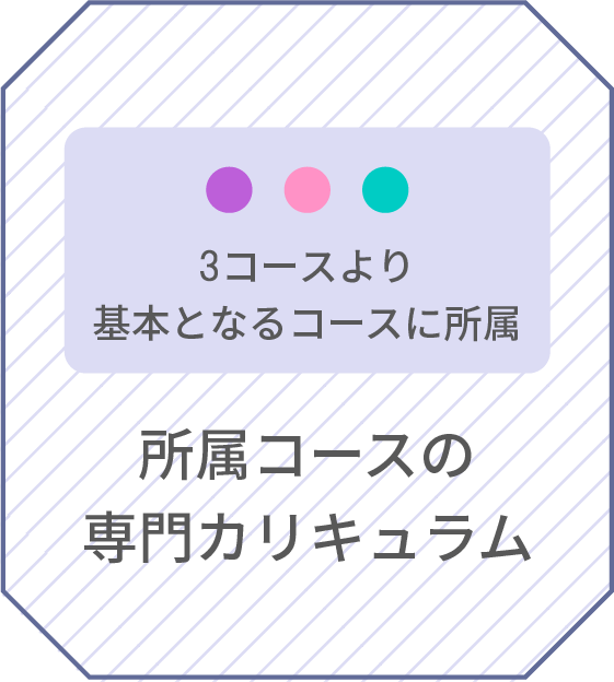 所属コースの専門カリキュラム